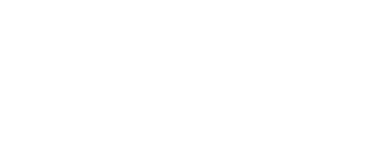 Business and Innovation Hub Logo - White
