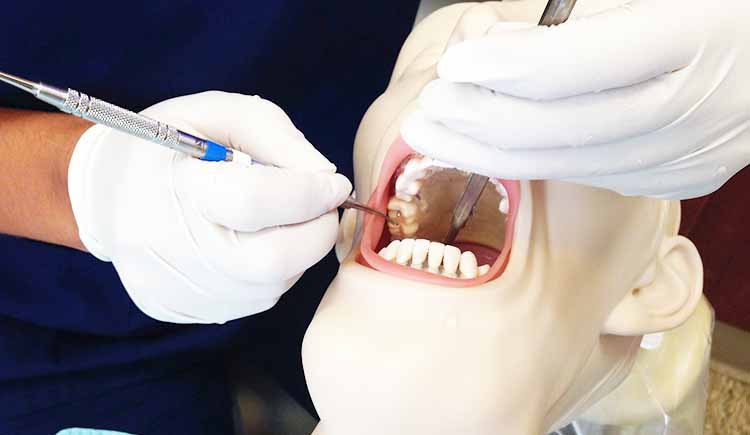 dental-assisting-3392127_1920