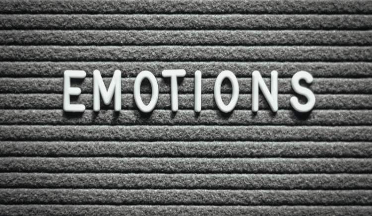 emotional intelligence emotional intelligence